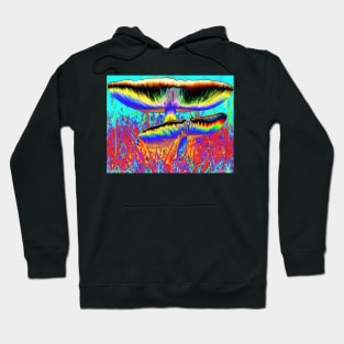 Roasting Mushrooms Hoodie